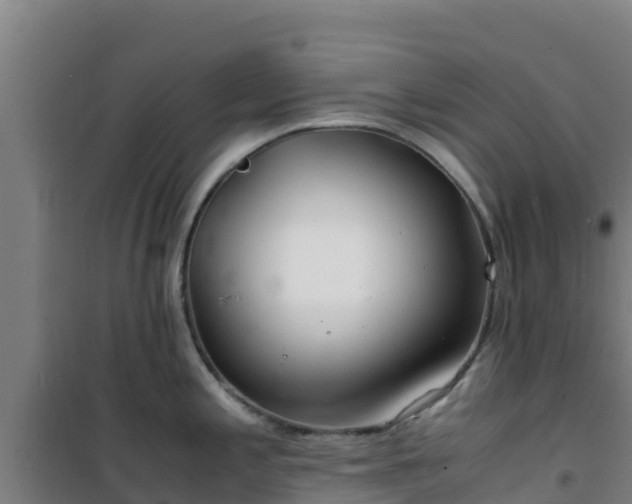 X0000101101197200807031743