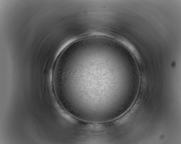 X0000101101198200807031743
