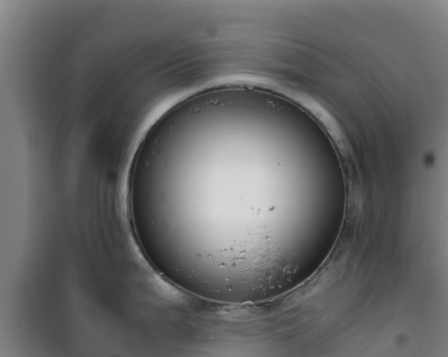 X0000101101199200807031743