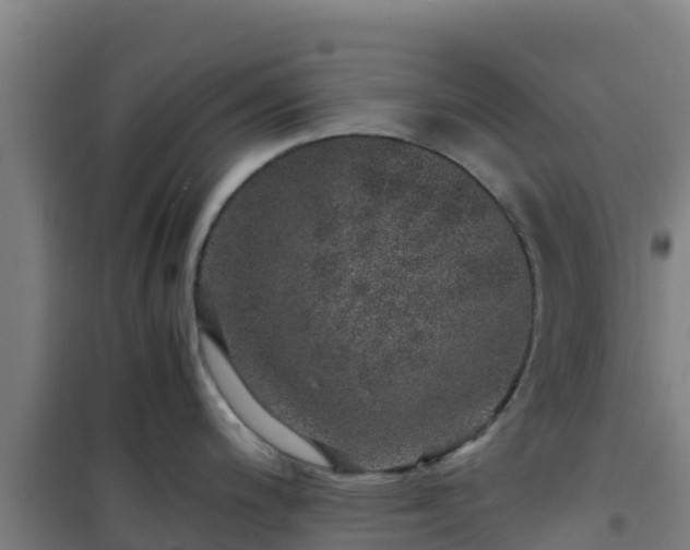 X0000101101200200807031743