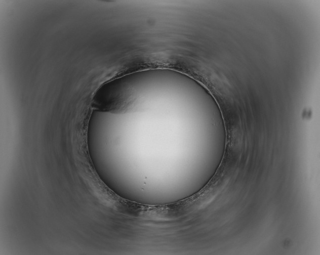 X0000101101201200807031742