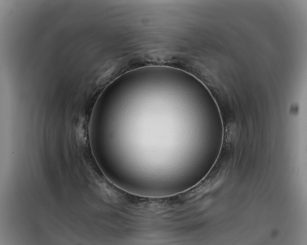 X0000101101202200807031742