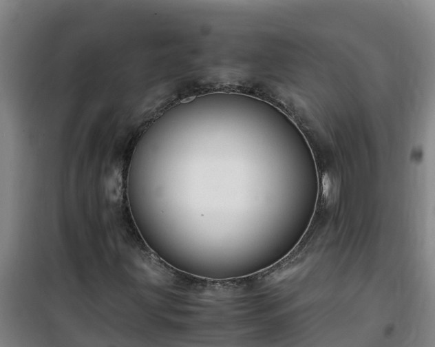 X0000101101203200807031742