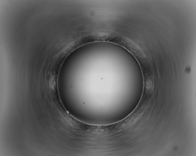 X0000101101204200807031742