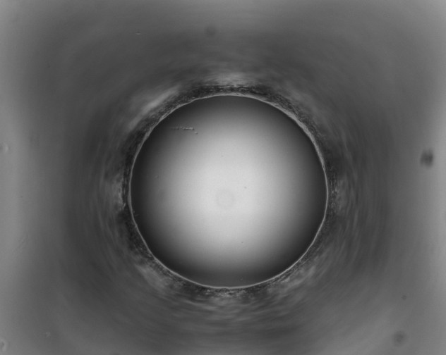 X0000101101205200807031742