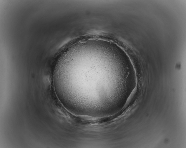 X0000101101206200807031742