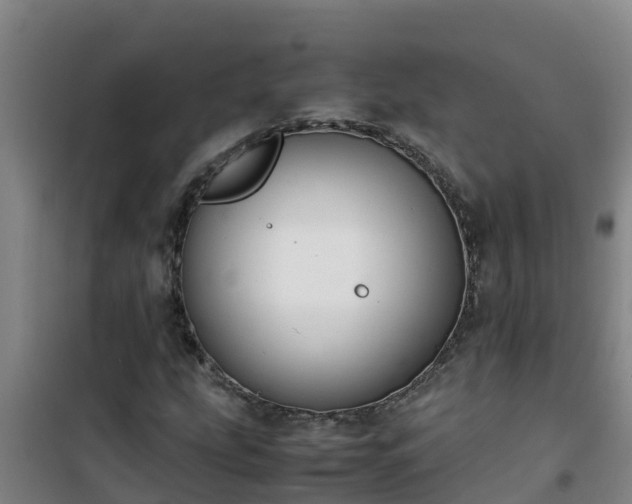 X0000101101207200807031742