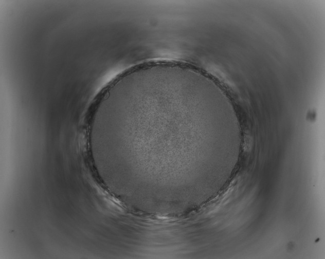 X0000101101208200807031742