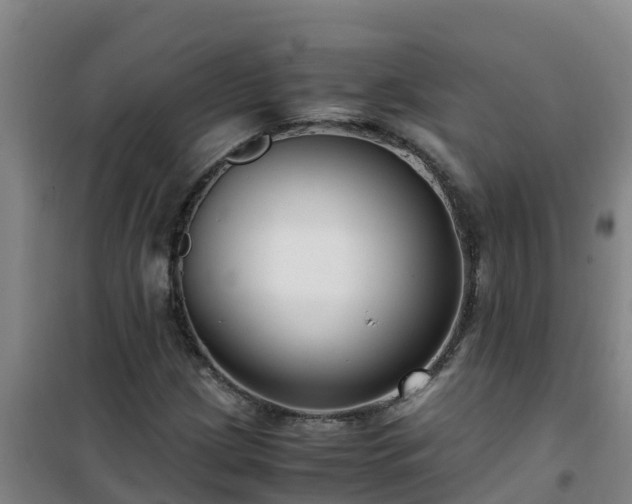 X0000101101209200807031742