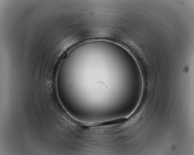 X0000101101210200807031742