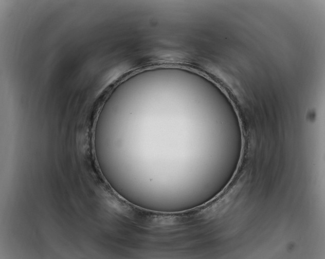 X0000101101211200807031742