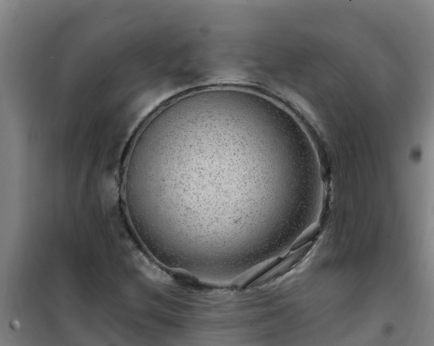 X0000101101212200807031742