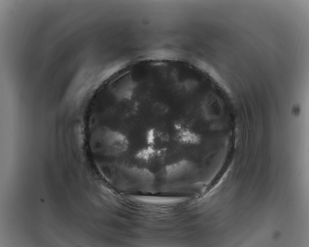 X0000101101213200807031742