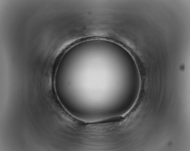 X0000101101214200807031742