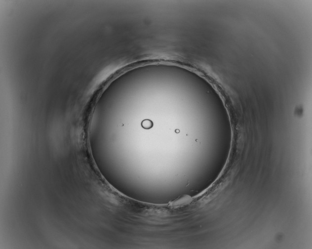 X0000101101215200807031742