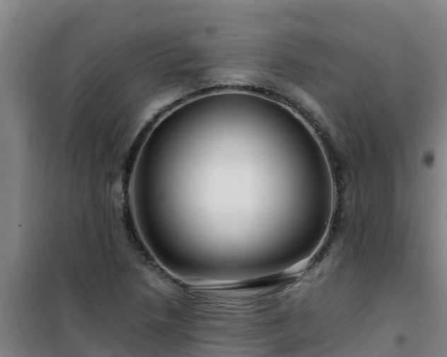 X0000101101218200807031742