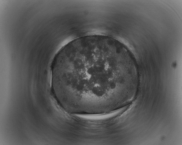 X0000101101219200807031742