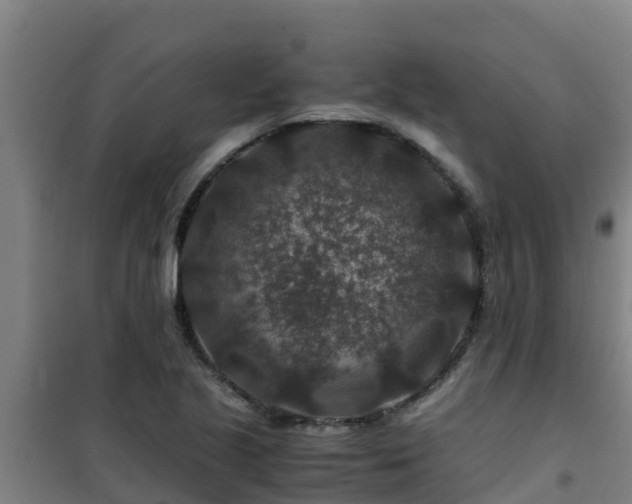 X0000101101221200807031742