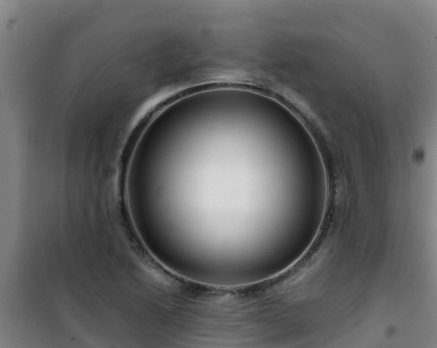 X0000101101222200807031742