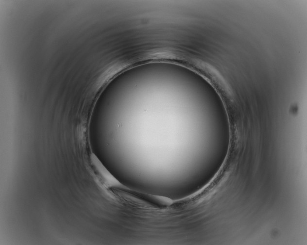 X0000101101225200807031742