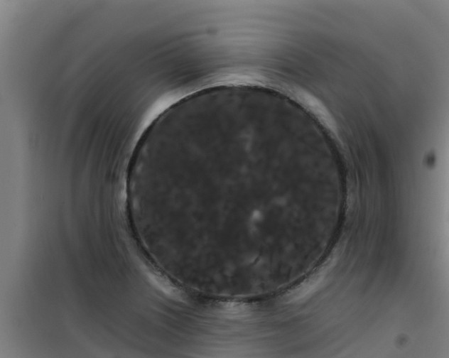 X0000101101226200807031742