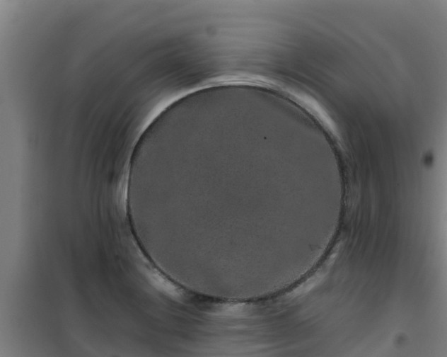 X0000101101228200807031742
