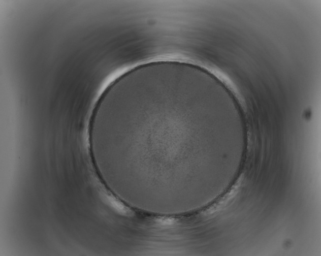 X0000101101230200807031742
