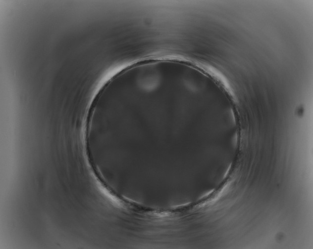 X0000101101231200807031742