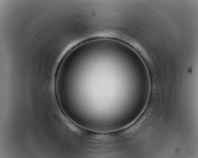 X0000101101232200807031742