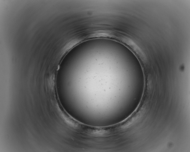 X0000101101233200807031742