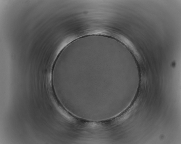 X0000101101234200807031742