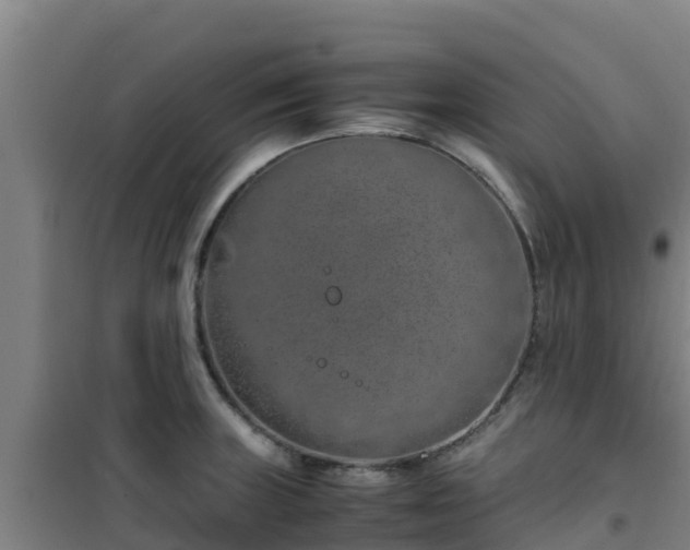 X0000101101235200807031742