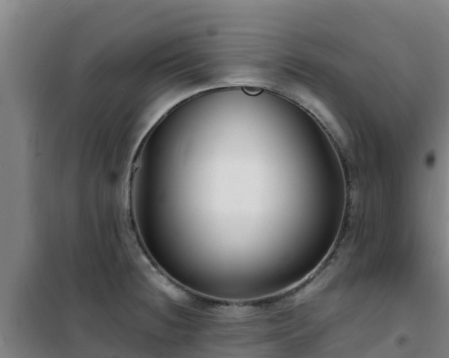 X0000101101236200807031742