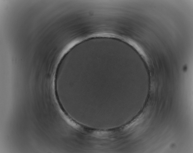 X0000101101237200807031742