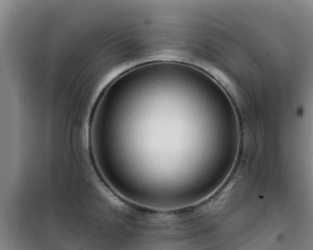 X0000101101238200807031742