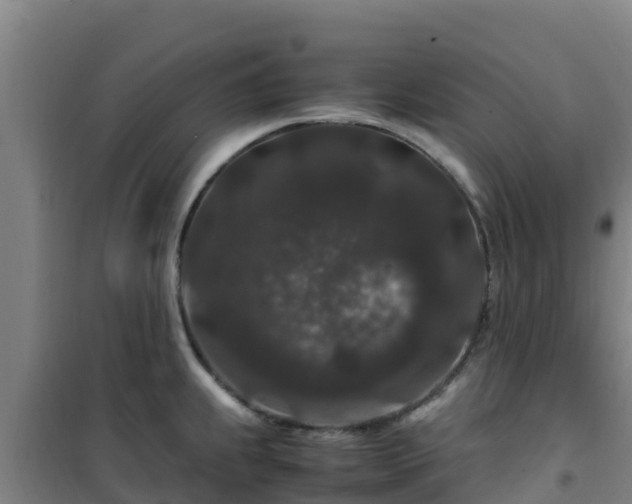 X0000101101239200807031742
