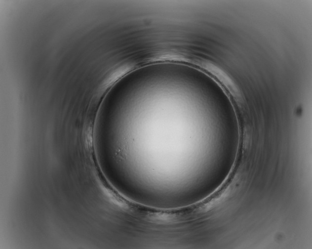 X0000101101241200807031742