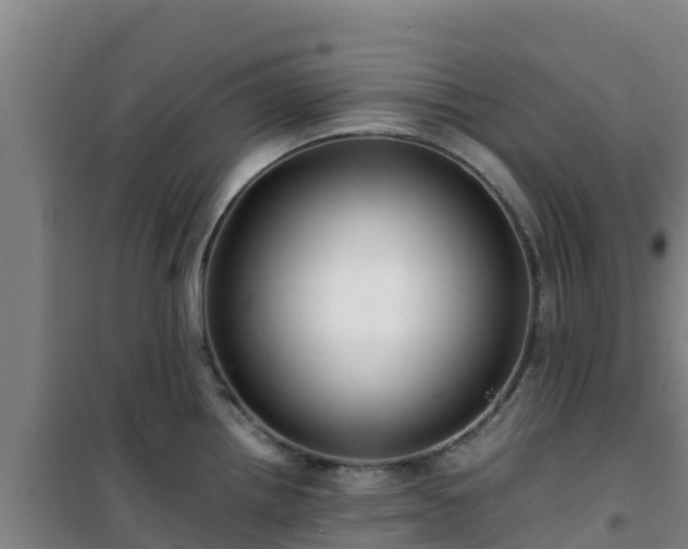 X0000101101242200807031742