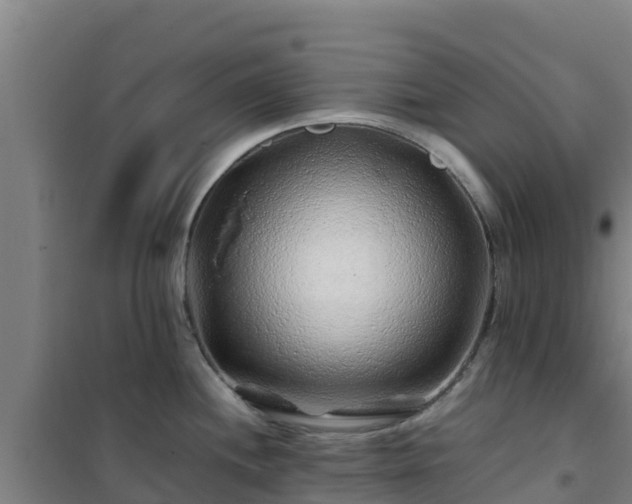 X0000101101244200807031743