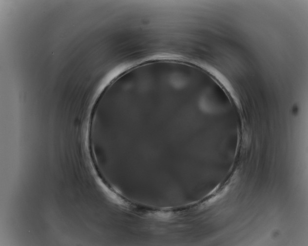 X0000101101245200807031743