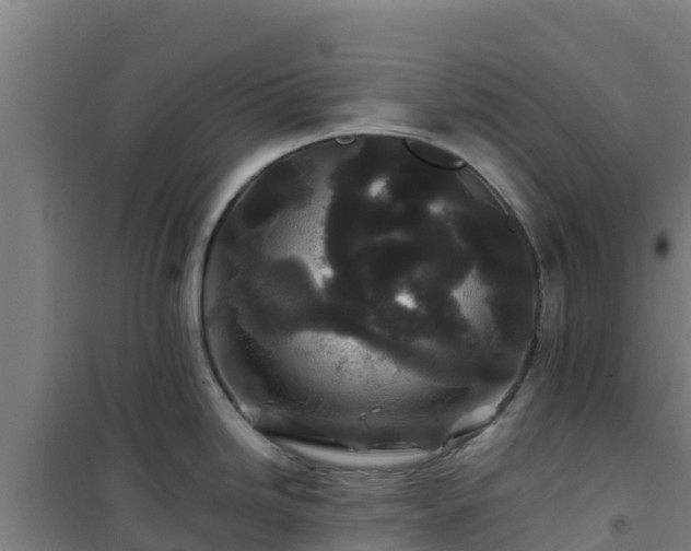 X0000101101246200807031743
