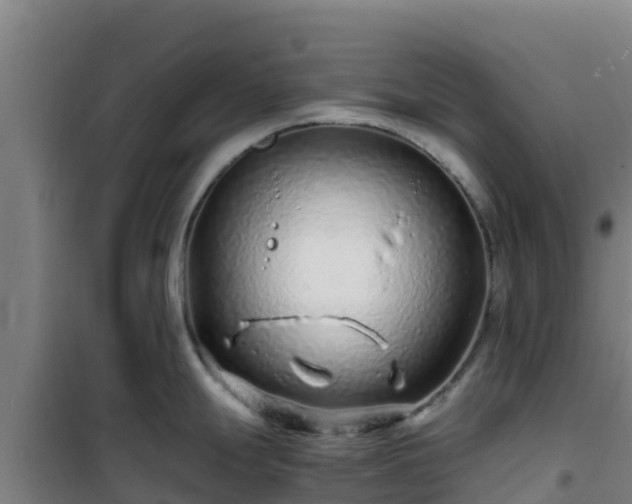 X0000101101247200807031743