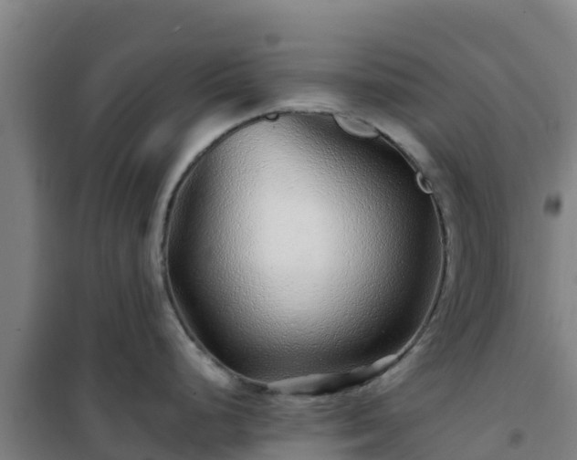 X0000101101248200807031743