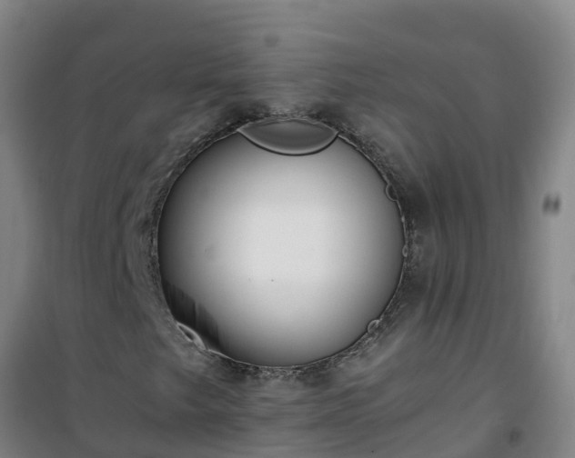 X0000101101249200807031742