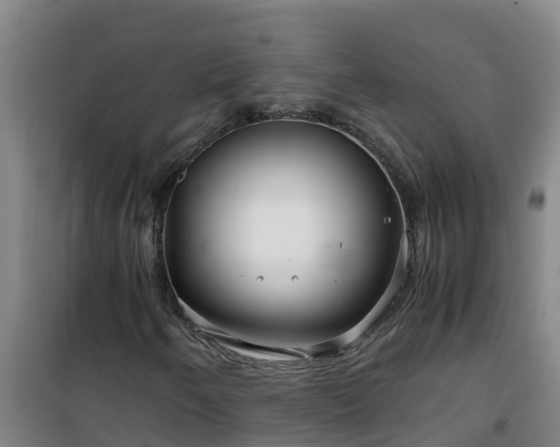 X0000101101250200807031742
