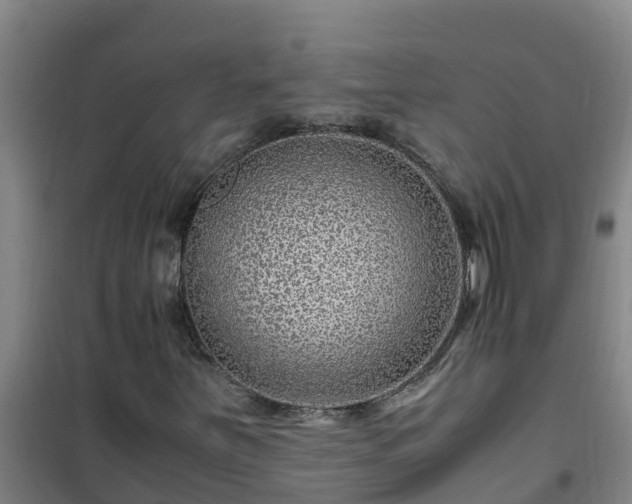 X0000101101251200807031742