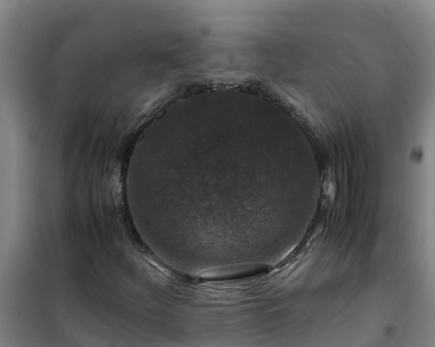 X0000101101252200807031742