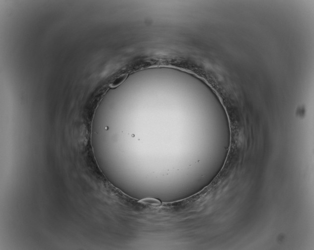 X0000101101253200807031742