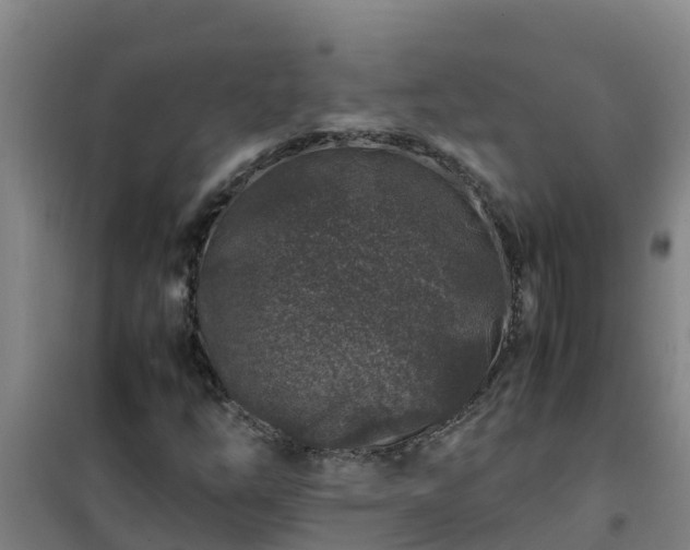 X0000101101254200807031742