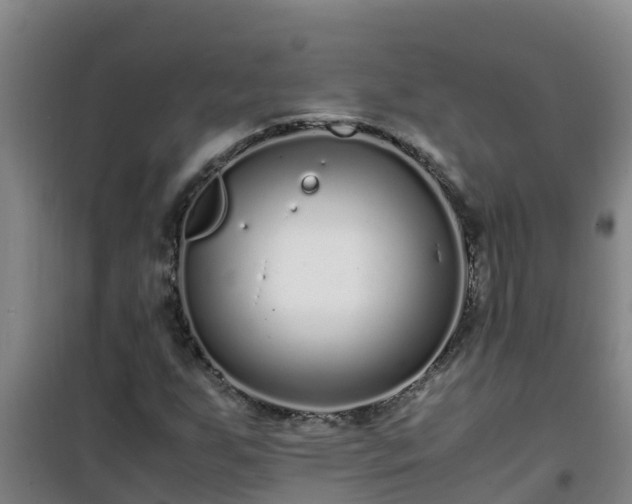 X0000101101255200807031742